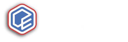 Laneden — Cyber Security Services